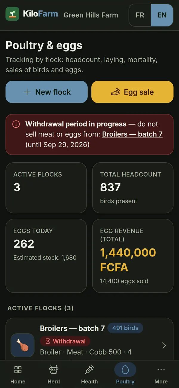 KiloFarm on a phone: Poultry
