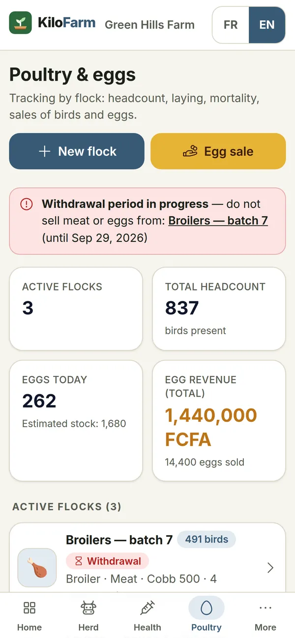 KiloFarm on a phone: Poultry